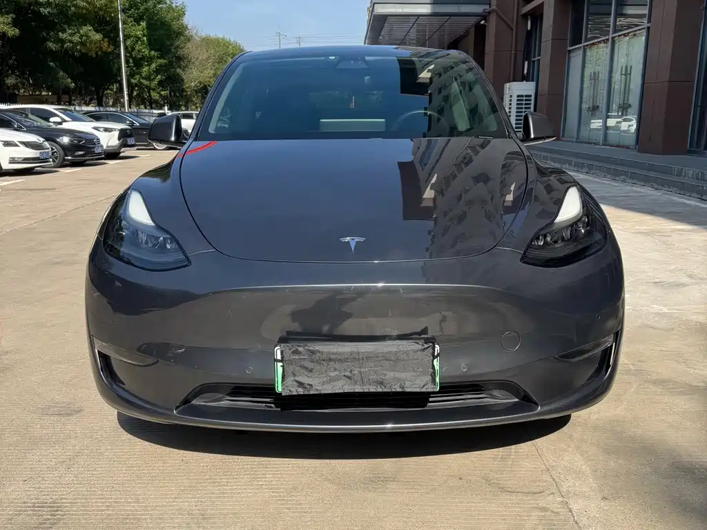 Tesla Model Y — миниатюра 2
