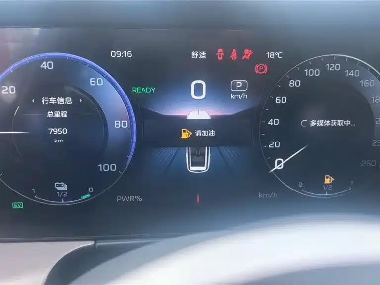 RED FLAG HONGQI HS7 PHEV