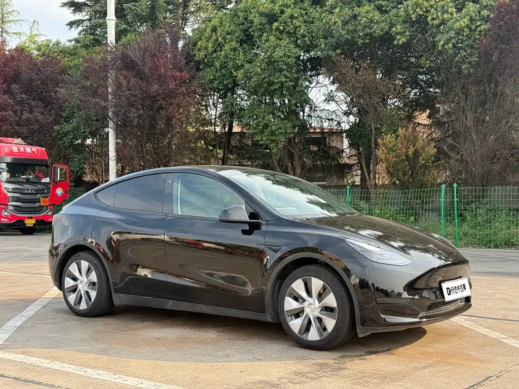 Tesla Model Y — миниатюра 3