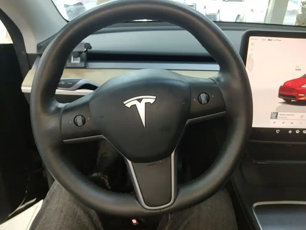 Tesla Model Y — миниатюра 11