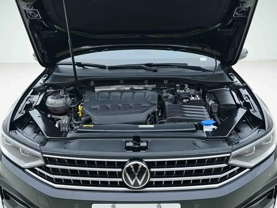 Volkswagen Magotan 2025 330TSI DSG Luxury