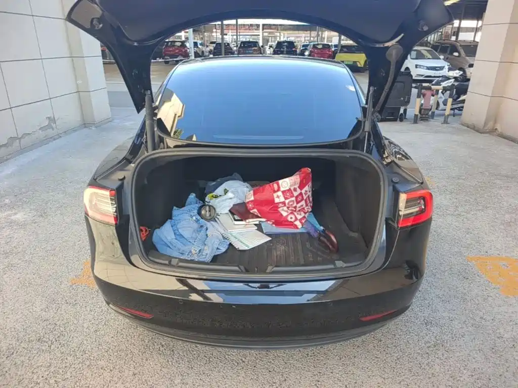 Tesla Model 3 — миниатюра 19