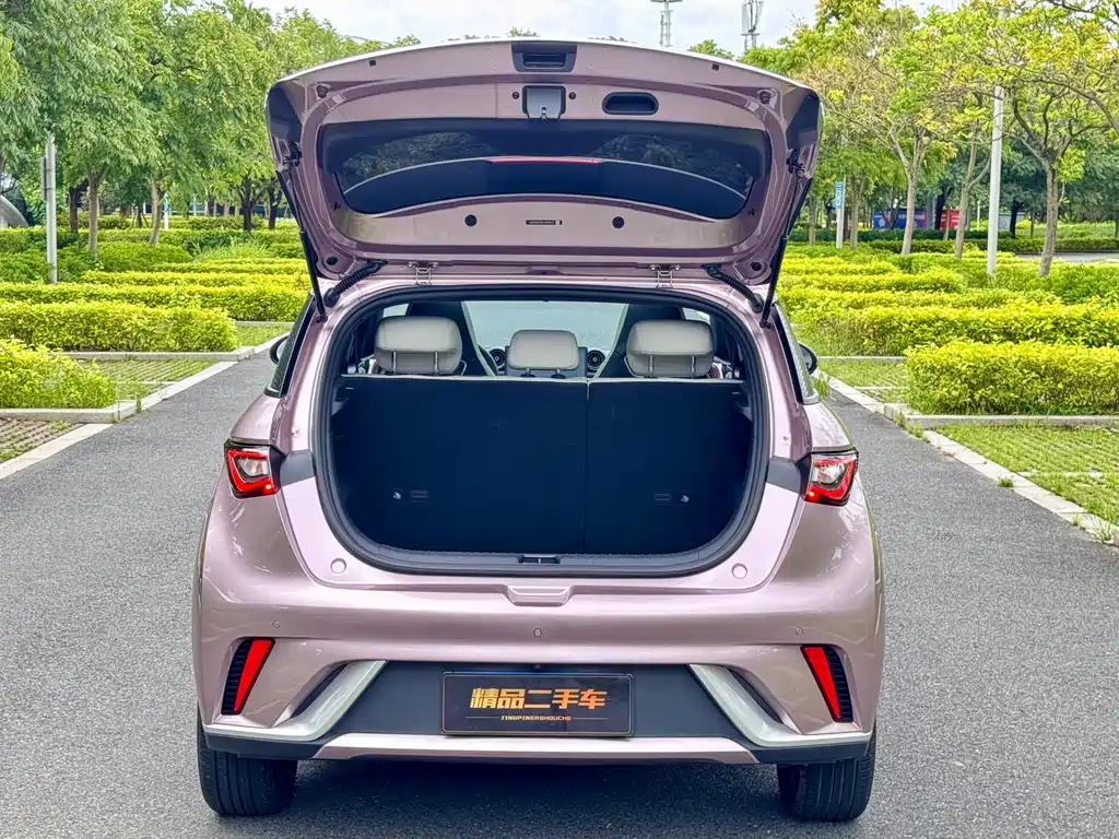 BYD Dolphin — миниатюра 26