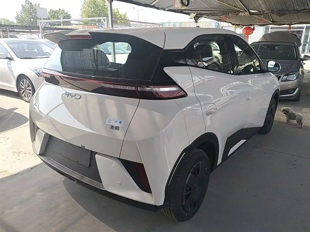 BYD Seagull 2025 305km