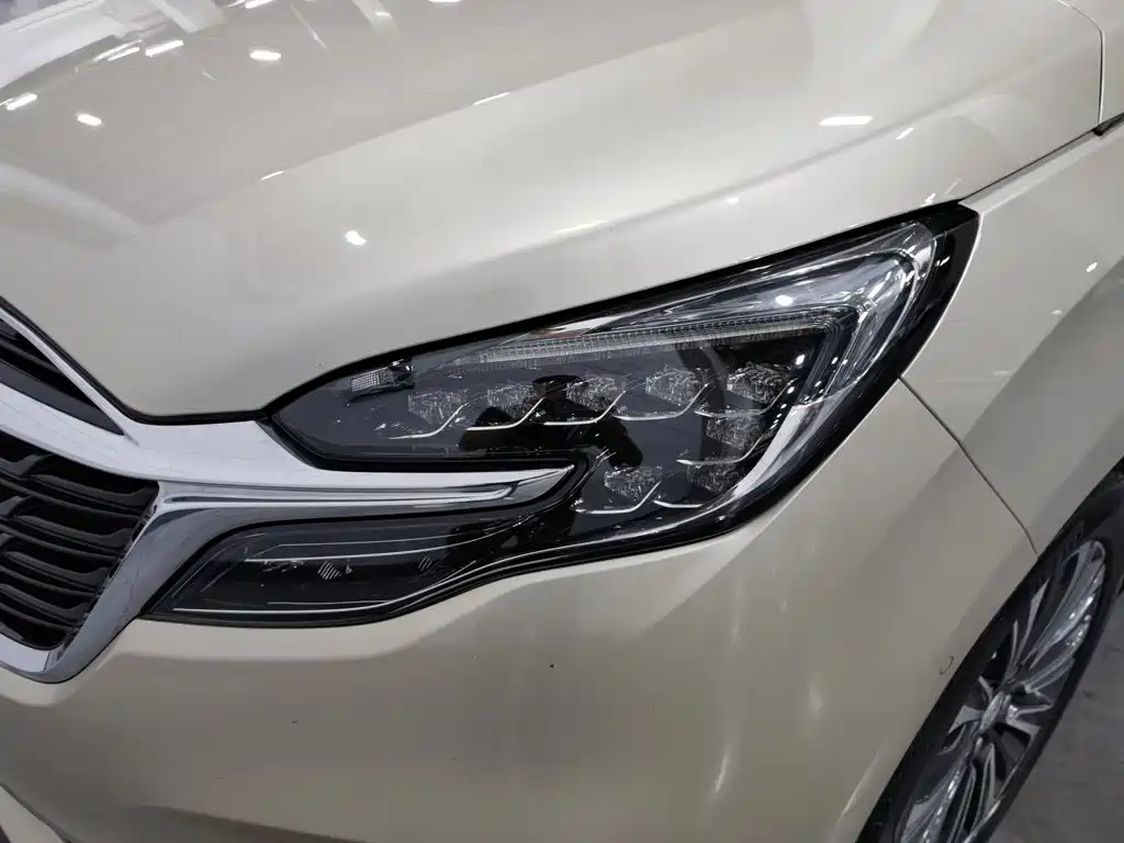 Buick GL8 — миниатюра 7