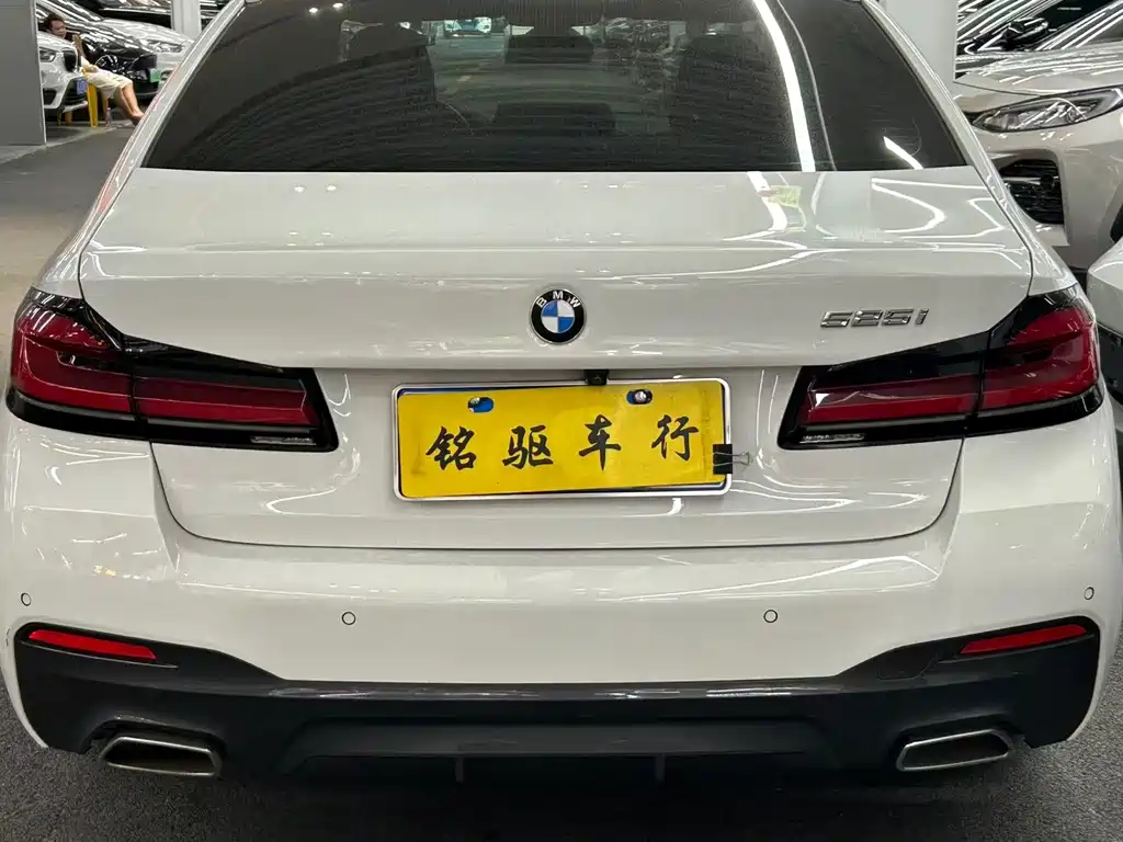 BMW 5 Series (Import) — миниатюра 6