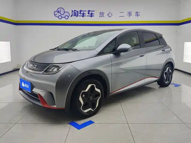 2022 BYD Dolphin