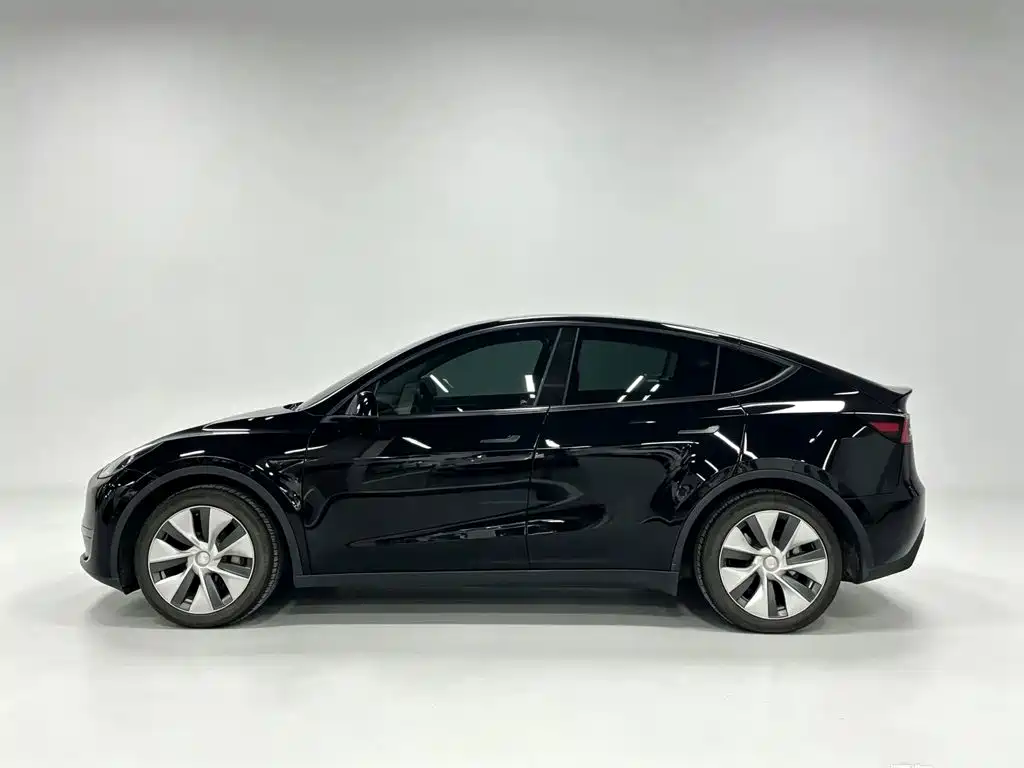 Tesla Model Y — миниатюра 3