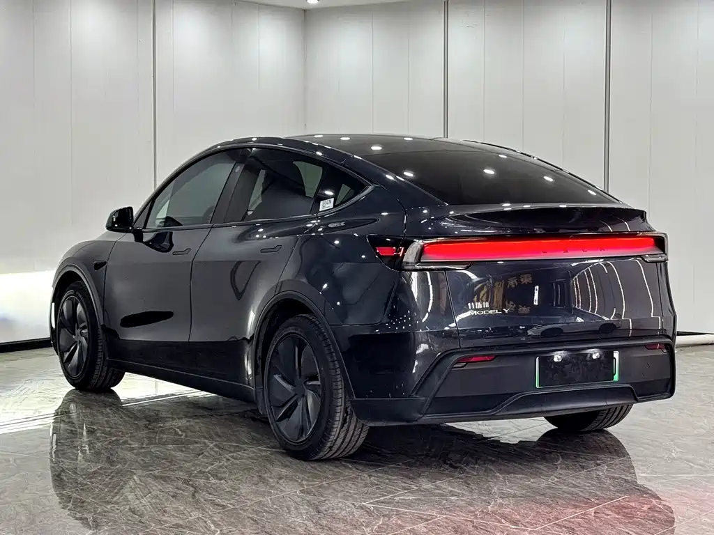 Tesla Model Y — миниатюра 13