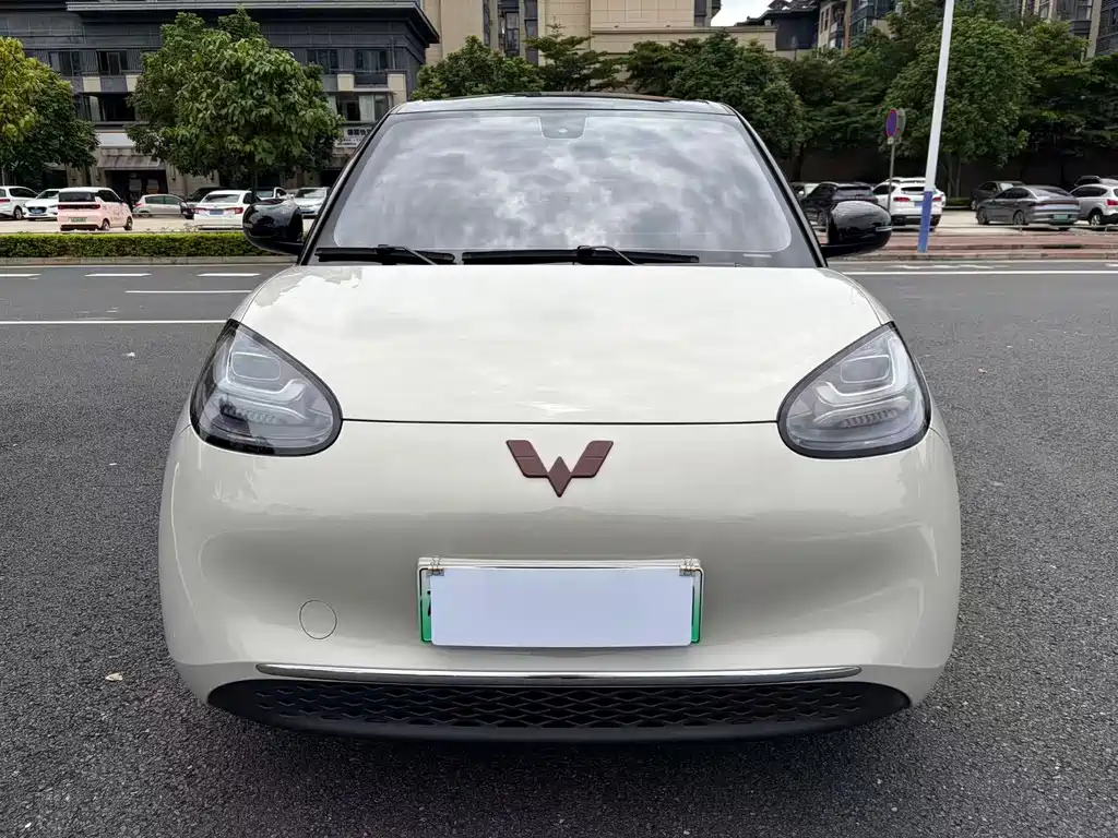 Wuling Binguo 2023 333km +