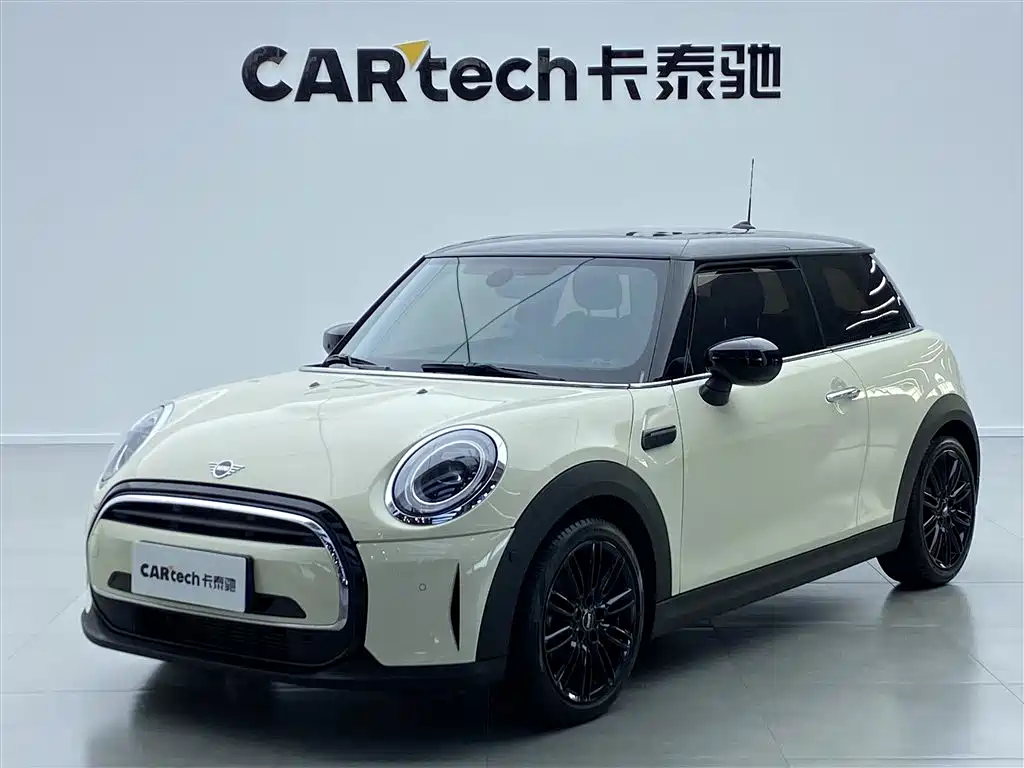 Mini Mini 2021