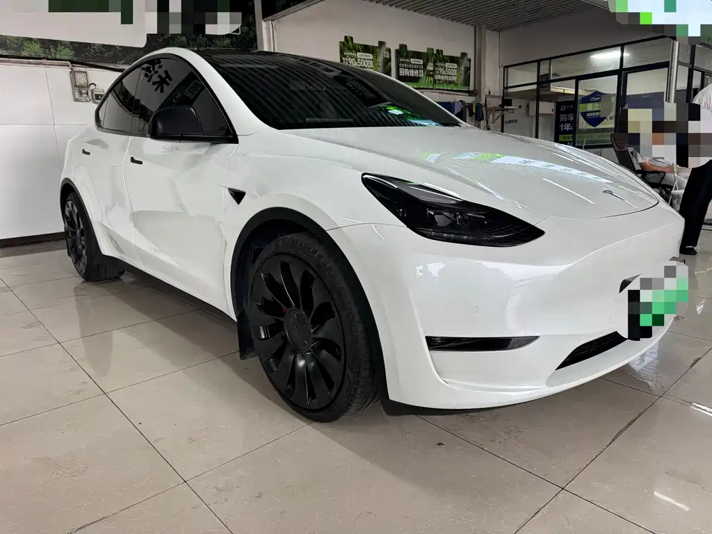 Tesla Model Y — миниатюра 3
