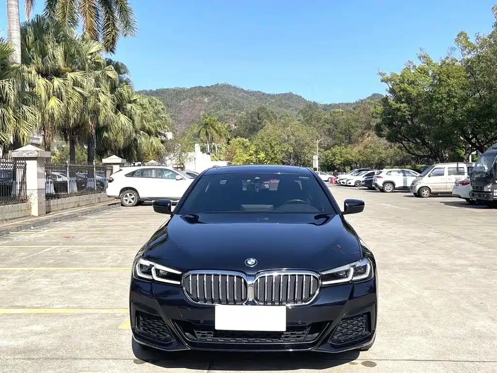 BMW 5 Series — миниатюра 2