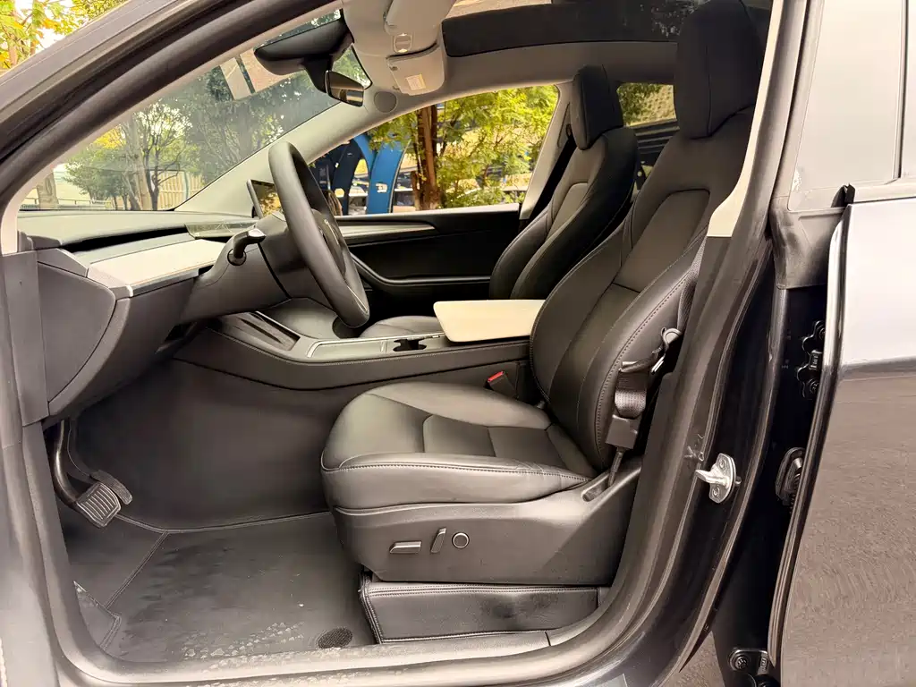 Tesla Model Y — миниатюра 14