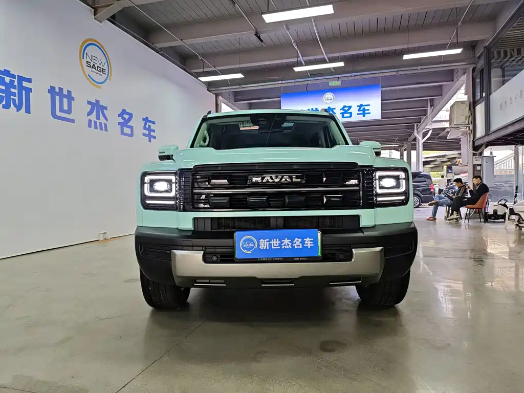 Haval Menglong New Energy — миниатюра 2