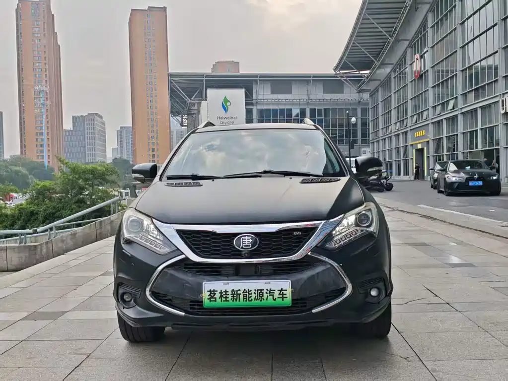 BYD Tang New Energy — миниатюра 2