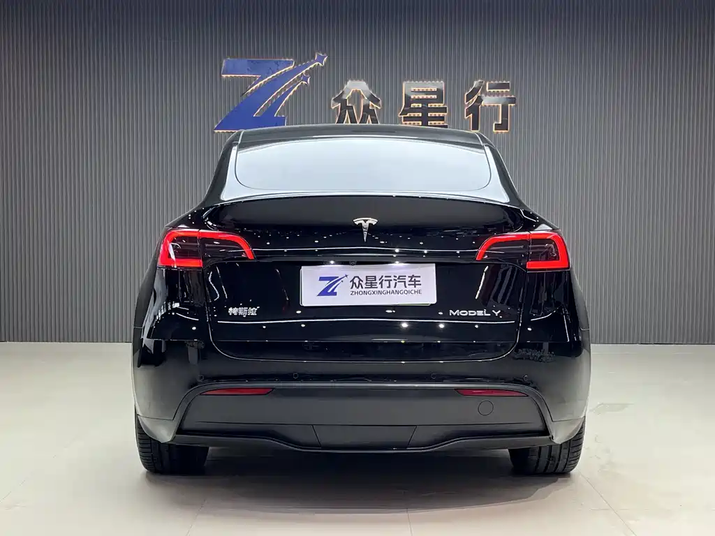 Tesla Model Y — миниатюра 9