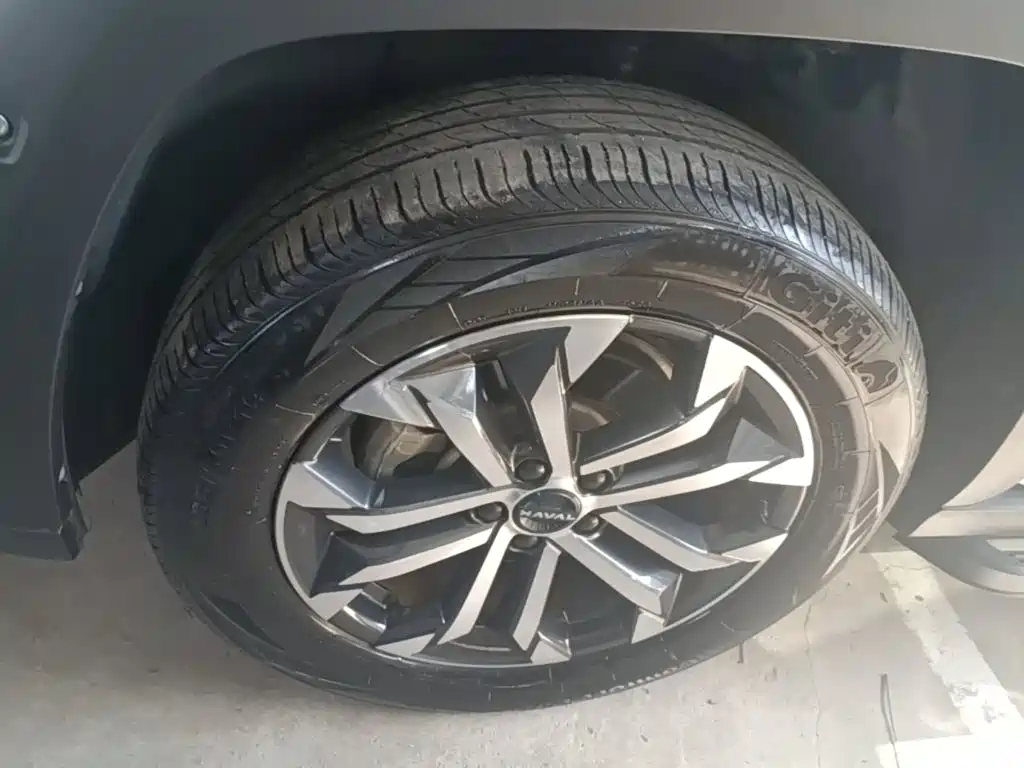 Haval Big Dog PLUS — миниатюра 23