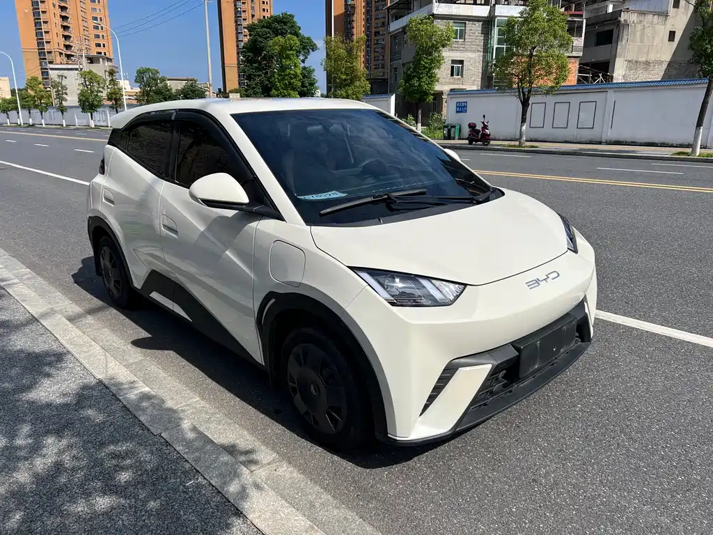 BYD Seagull