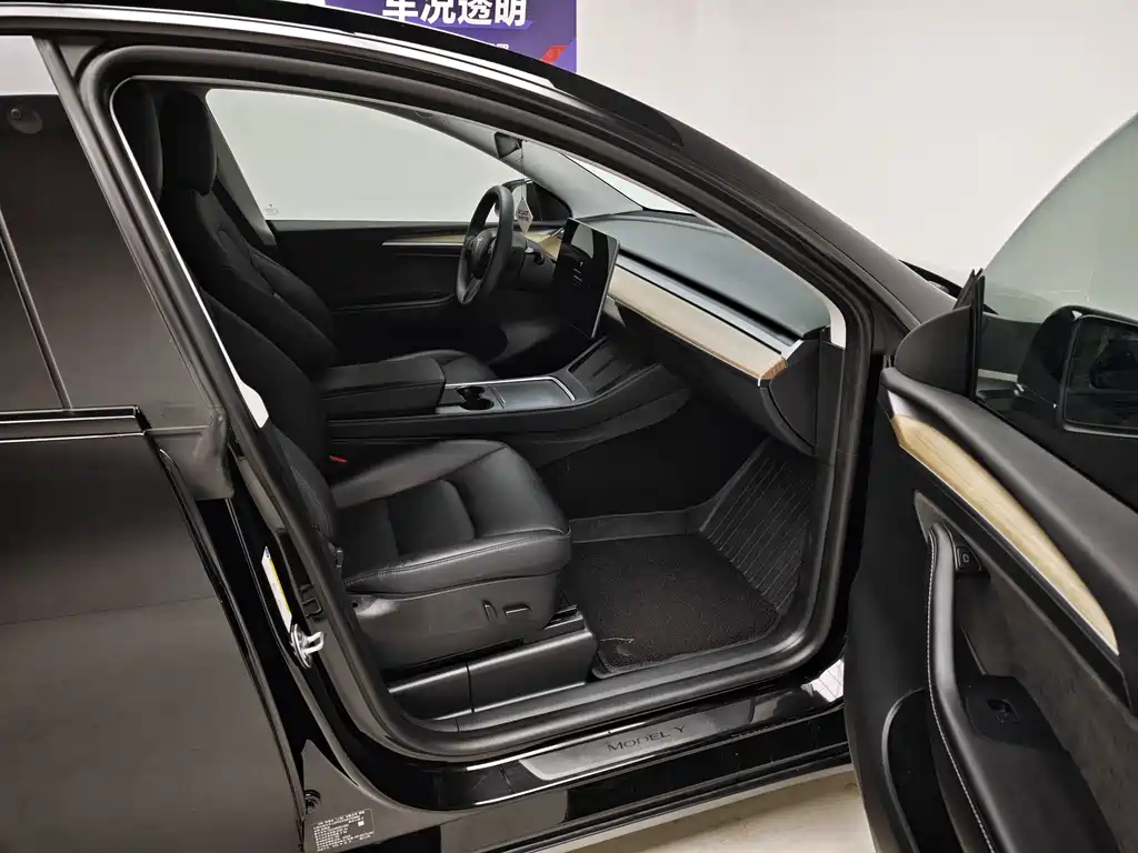 Tesla Model Y — миниатюра 11