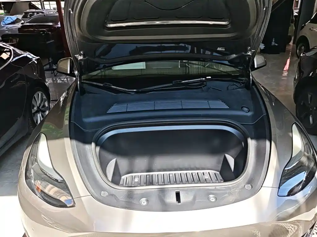 Tesla Model Y — миниатюра 20