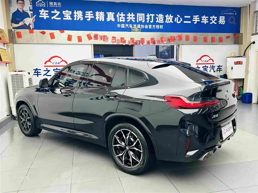 BMW X4 — миниатюра 8