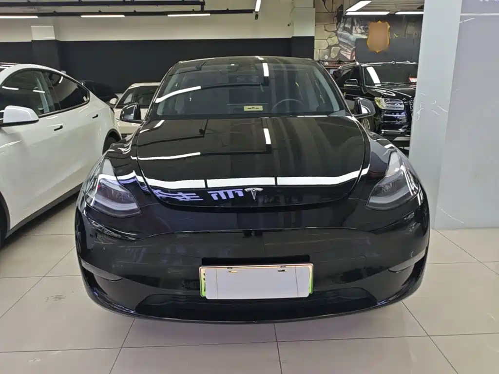 Tesla Model Y — миниатюра 3