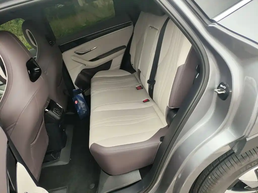 BYD PLUS New Energy — миниатюра 17