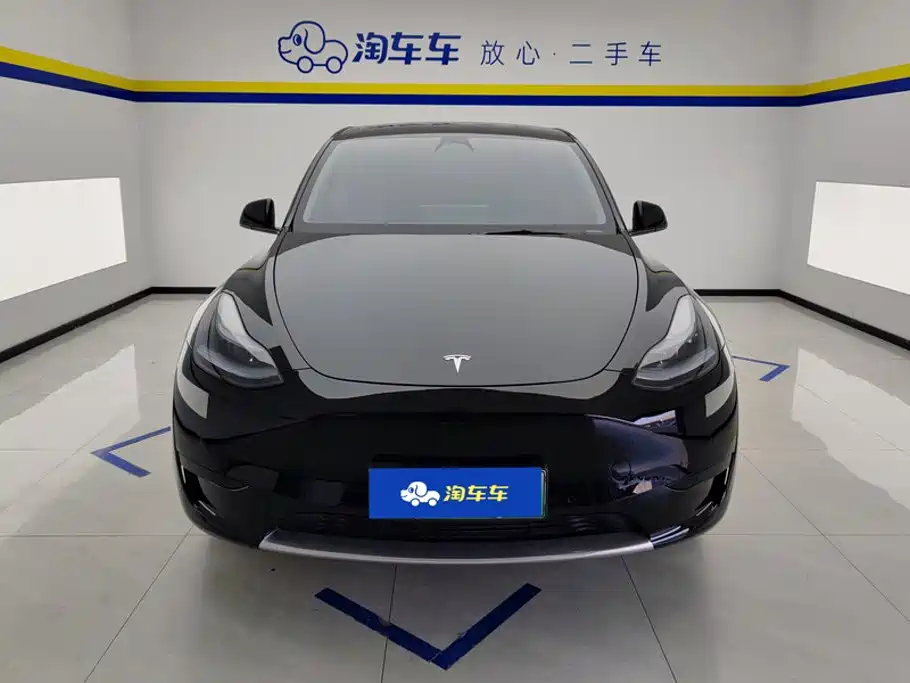 Tesla Model Y — миниатюра 2