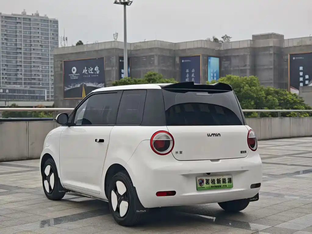 Qiyuan Lumin — миниатюра 7