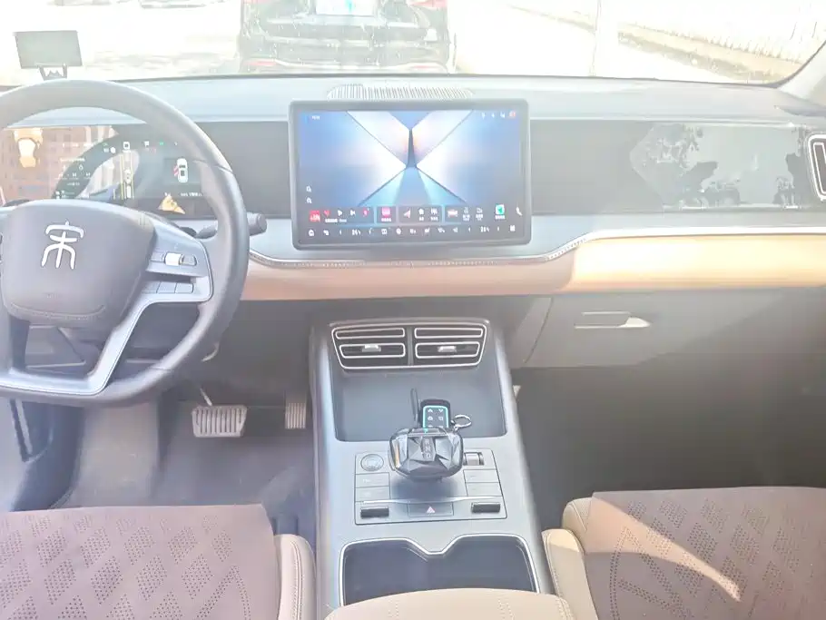BYD Pro New Energy — миниатюра 16