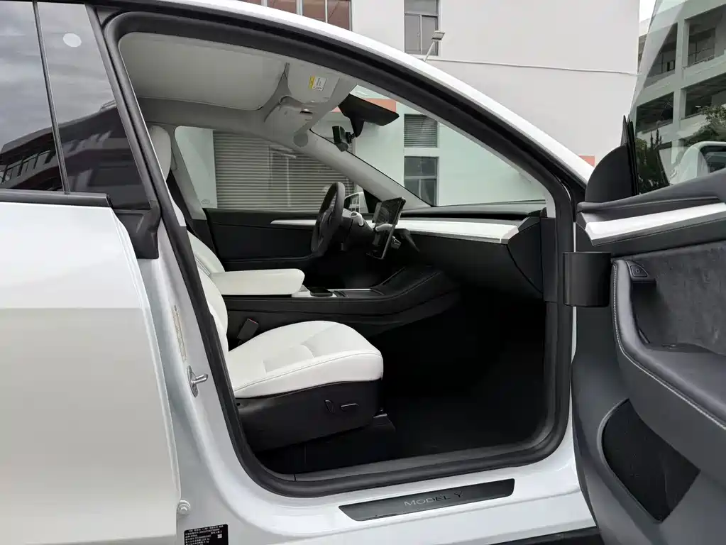 Tesla Model Y — миниатюра 8