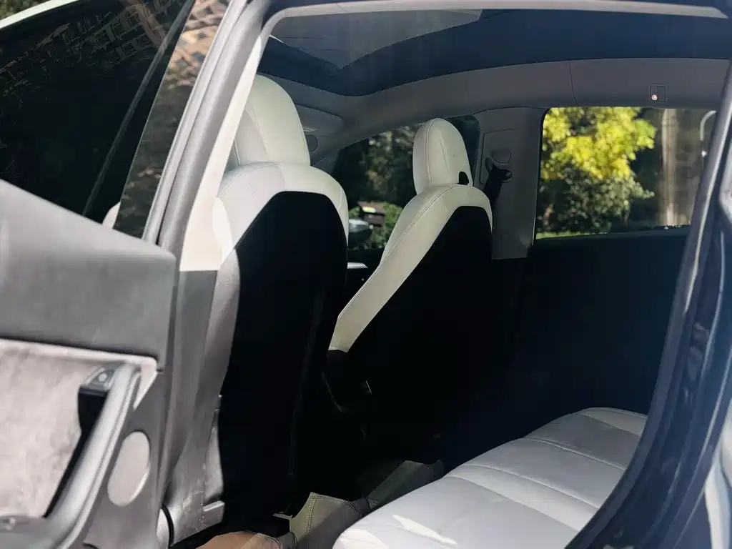 Tesla Model Y — миниатюра 7