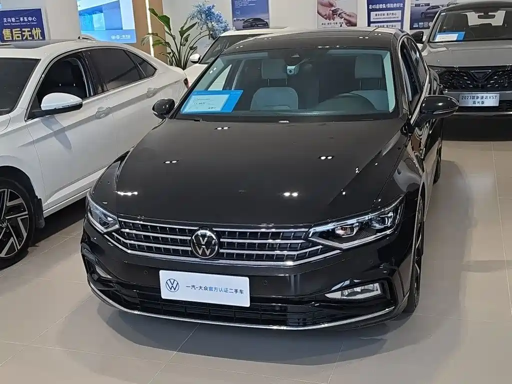 Volkswagen Magotan — миниатюра 2
