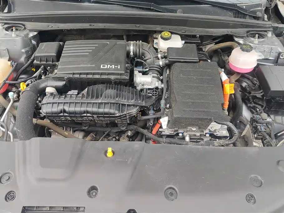 BYD Qin Plus PLUS 2024 DM-i 55KM