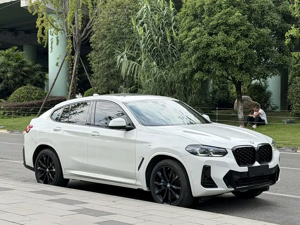 BMW X4 — миниатюра 5