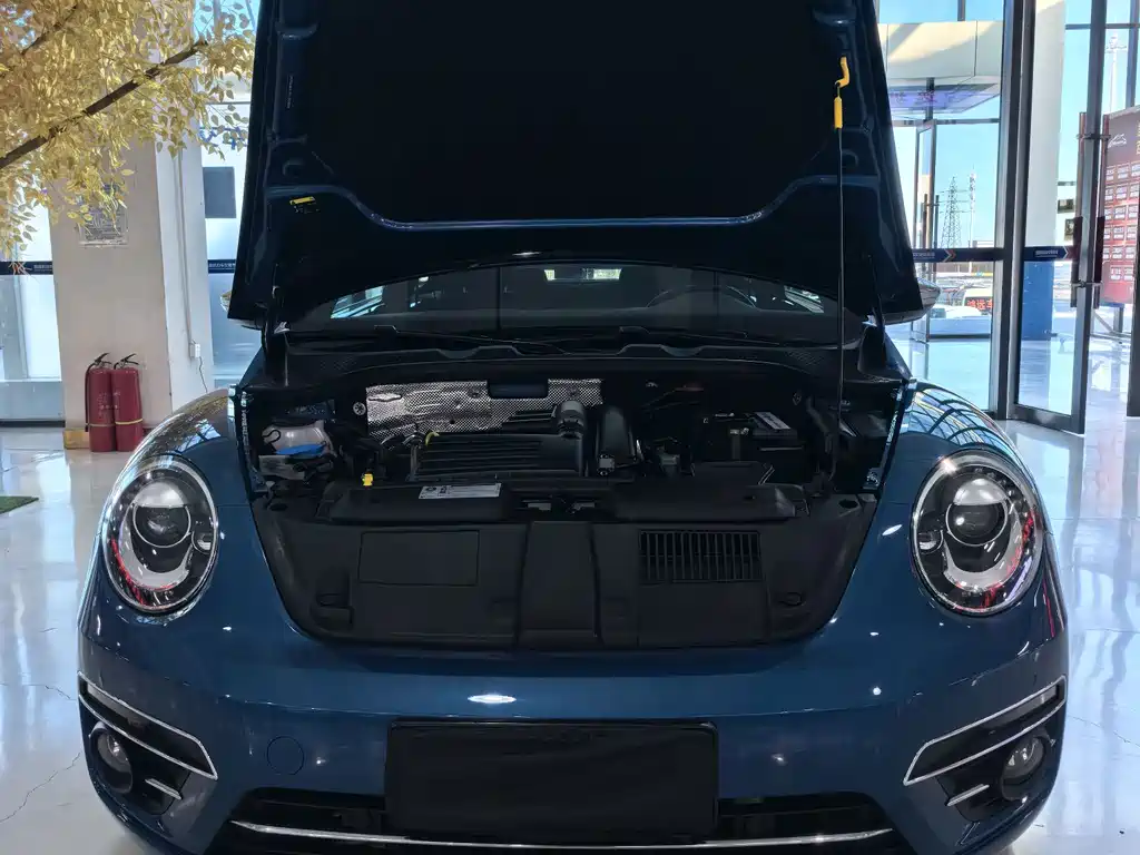 Volkswagen Beetle — миниатюра 19