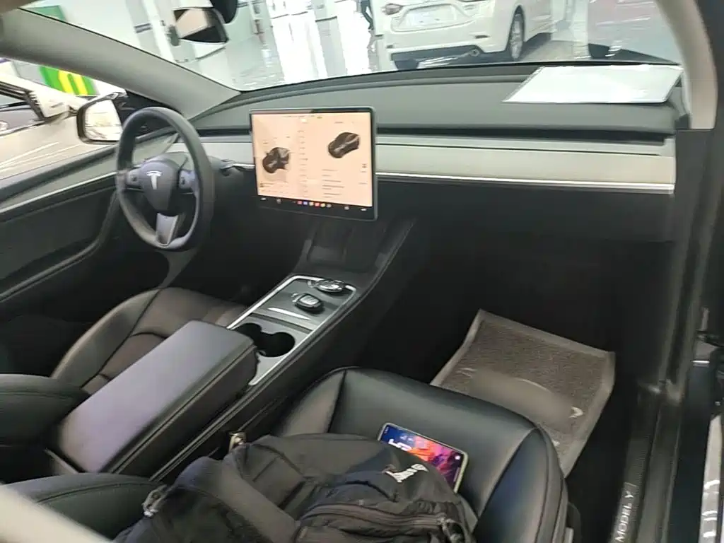 Tesla Model Y — миниатюра 10