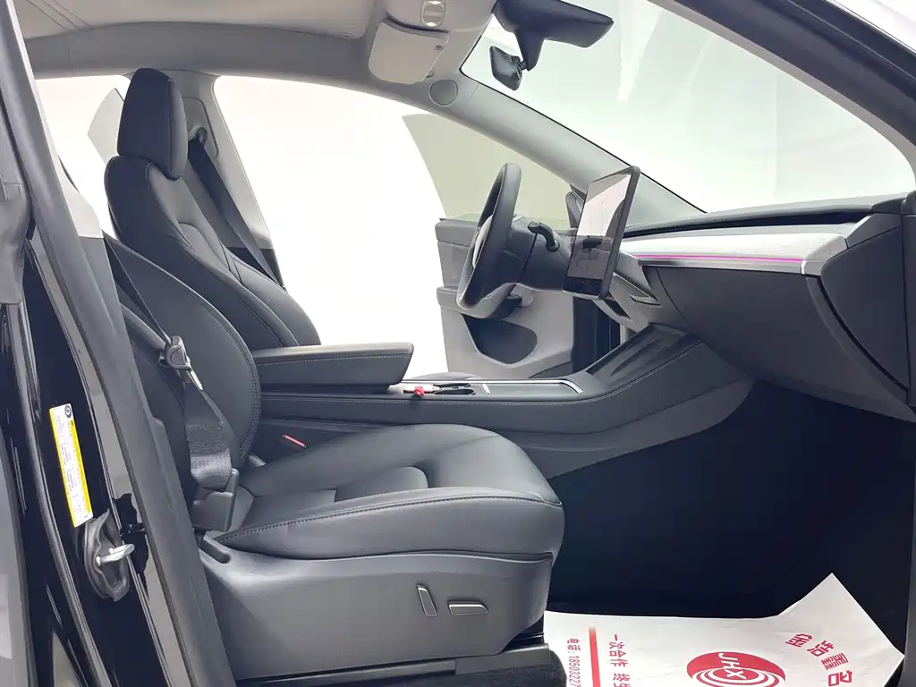 Tesla Model Y — миниатюра 10