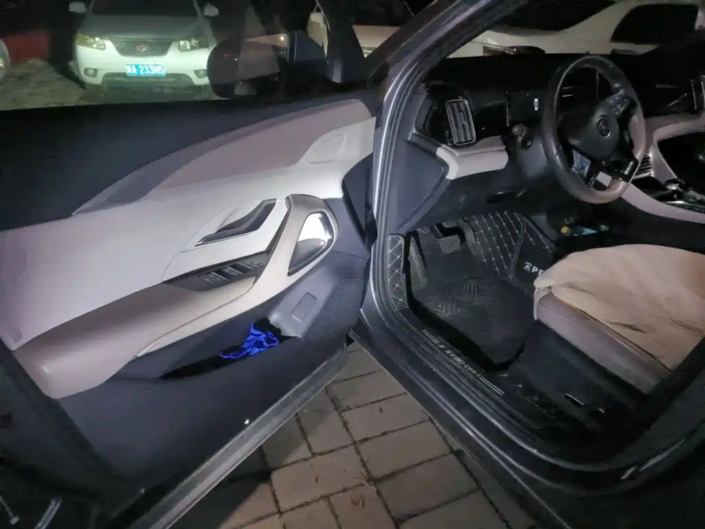BYD Pro New Energy — миниатюра 17