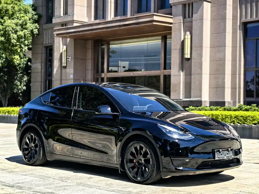 Tesla Model Y — миниатюра 3