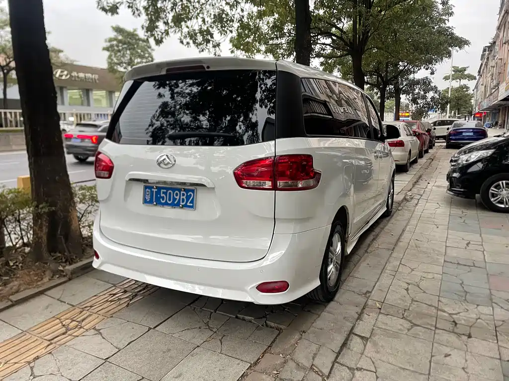 SAIC MAXUS CHASE G10