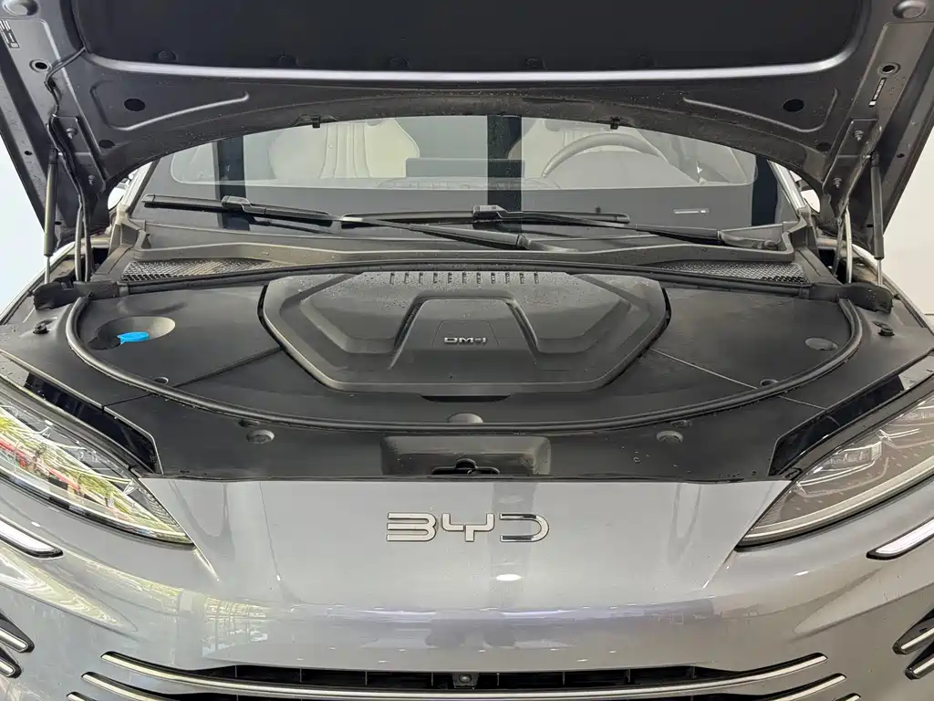 BYD PLUS New Energy — миниатюра 4