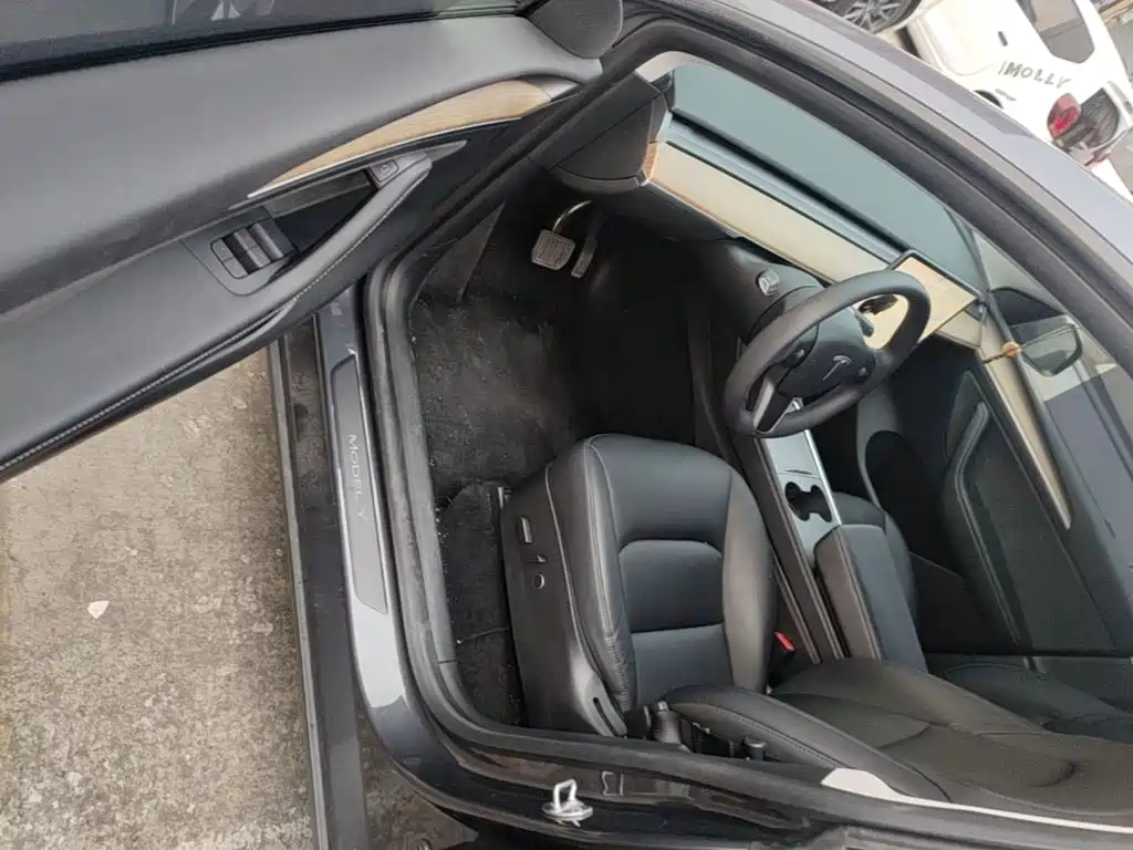 Tesla Model Y — миниатюра 16