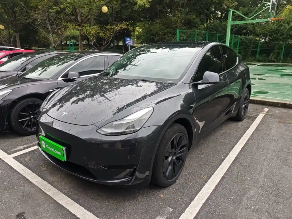 Tesla Model Y — миниатюра 2