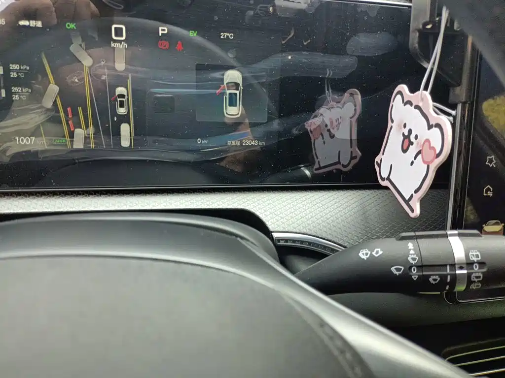 BYD Pro New Energy — миниатюра 8