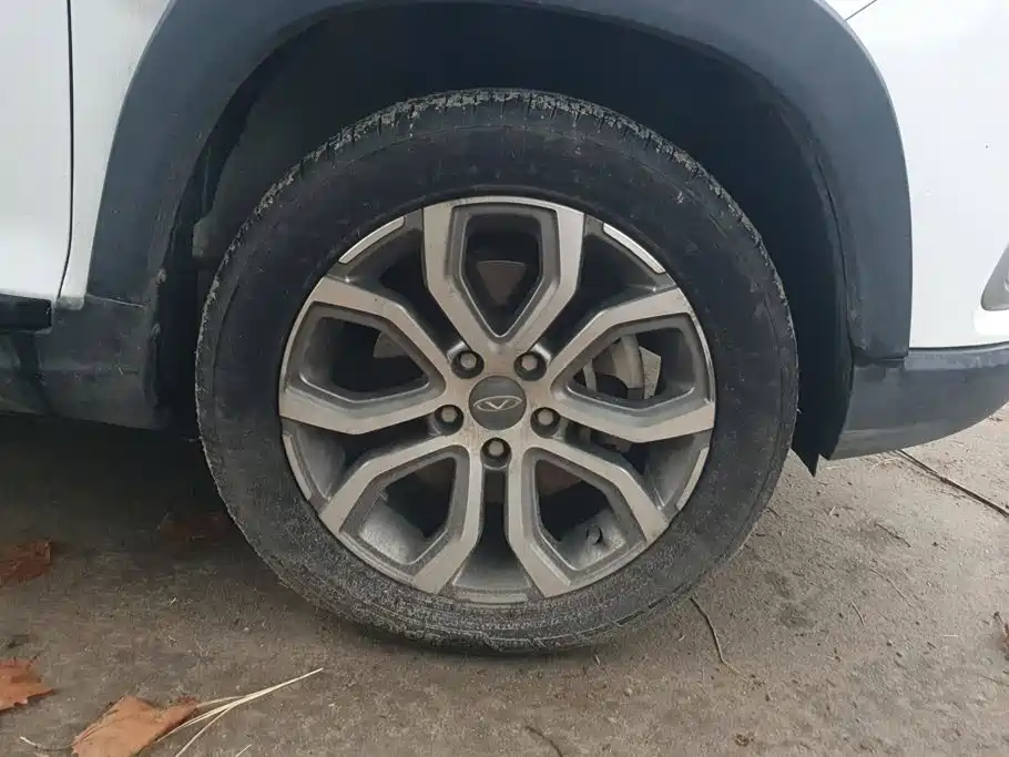 Chery Tiggo 3x — миниатюра 6