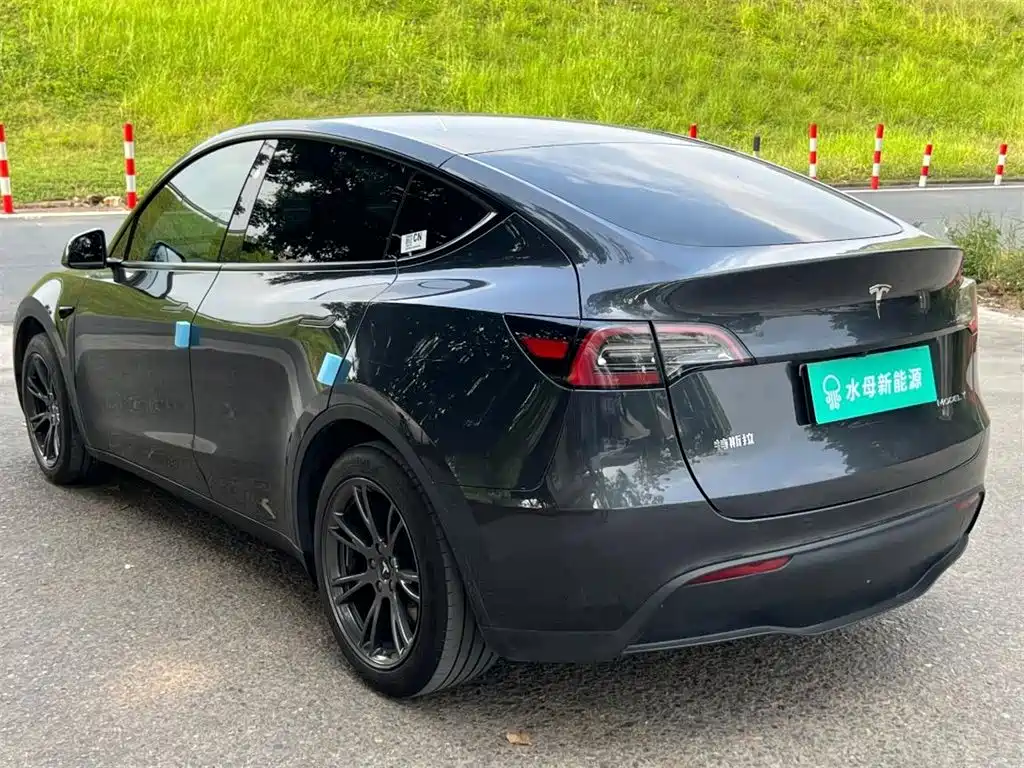 Tesla Model Y — миниатюра 6