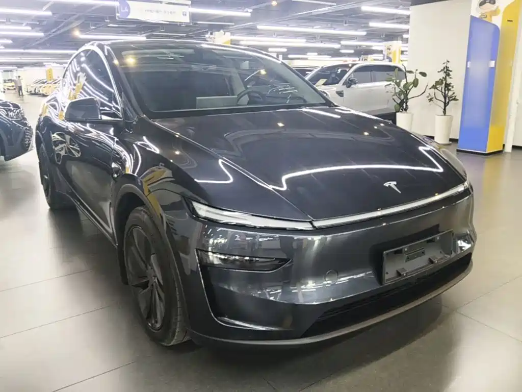 Tesla Model Y — миниатюра 4
