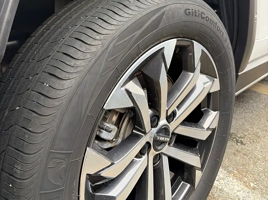 Haval Big Dog PLUS — миниатюра 6
